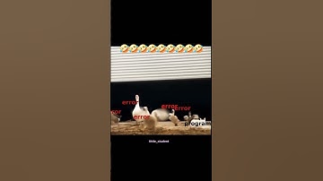 When Developers Use External Libraries: The Bug Battle!" #developerlife #shorts