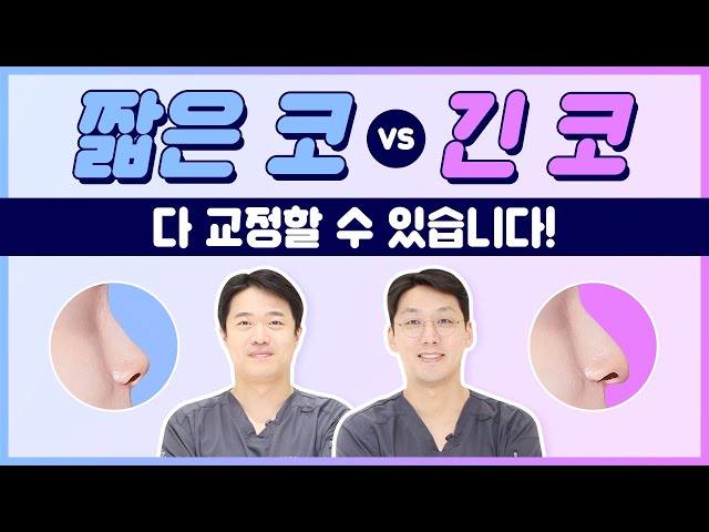 짧은 코 vs 긴 코, 어떤 성형이 더 어려울까?