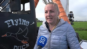 Reusachtige eend trekt veel bekijks langs A29