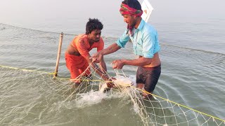 Today when the water level in river Ganga decreased, we cast a net and so many big fish came