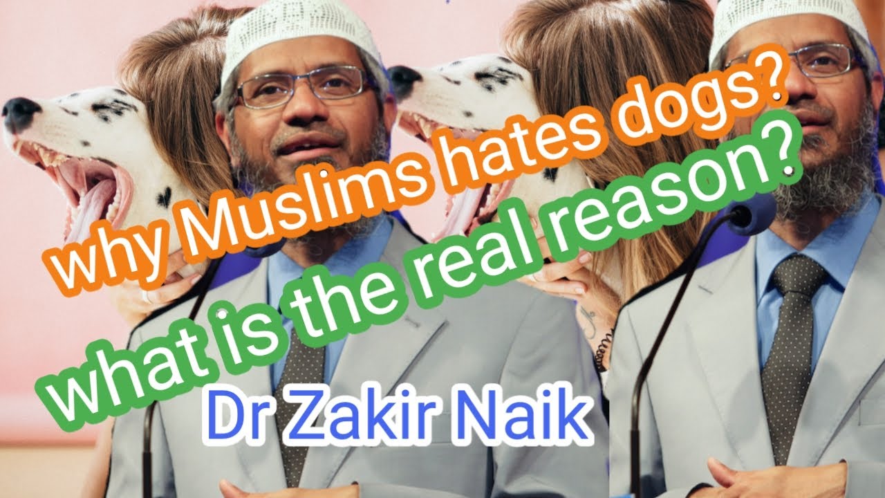 Are Muslims Allowed To Keep Dogs Islam study Dr Zakir Naik English