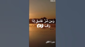 الشيخ عبد الباسط عبد الصمد | تلاوة خاشعة
