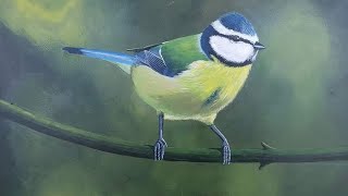 Blue Tit Bird Acrylic Painting with bokeh background Time lapse screenshot 1