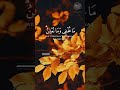 ربنا إنك تعلم ما نخفي وما نعلن فارس عباد تلاوات قصيره حالات واتس آب قرآن مقاطع انستغرام قرآن ربنا إنك تعلم ما نخفي وما نعلن فارس عباد تلاوات قصيره حالات واتس آب قرآن مقاطع انستغرام قرآن