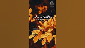 ربنا إنك تعلم ما نخفي وما نعلن فارس عباد تلاوات قصيره حالات واتس آب قرآن مقاطع انستغرام قرآن