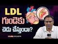 Good news for your heart dr vrk about ldl cholesterol types  impact on heart health  vrk diet