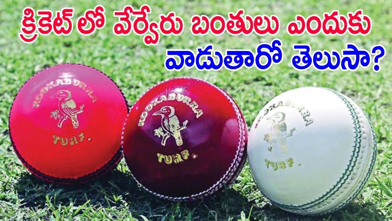 క్రికెట్ లో వేర్వేరు బంతులు ఎందుకు వాడుతారో తెలుసా I Cricket Ball Facts