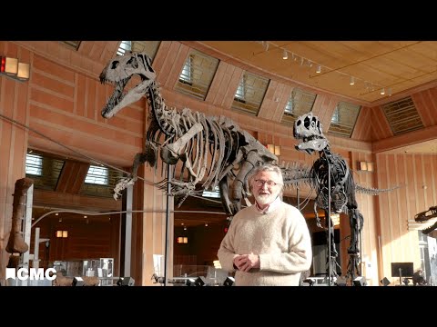 ผลสลากกินแบ่งรัฐบาล วันที่ 1 พย. 2567