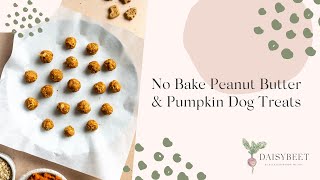 No Bake Peanut Butter Pumpkin Dog Treats Recipe