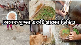 বাপের বাড়ির রাজরানী শ্বশুর বাড়ির চাকরানি||অনেক সুন্দর একটি গ্রামের ভিডিও ||gram Bangla video