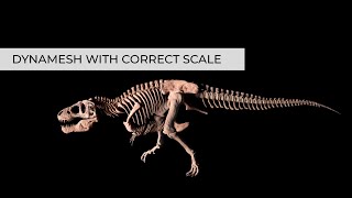 ZBrush Tip: Dynamesh with correct scale