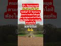 แรงงานไทยใครเห็นด้วย?#news #thailand #มาแรง #ข่าวบันเทิง #shortvideo