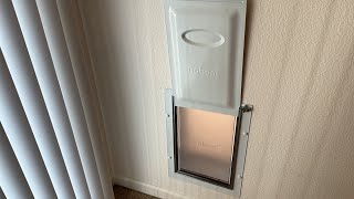 Baboni Pet Door For Wall Review