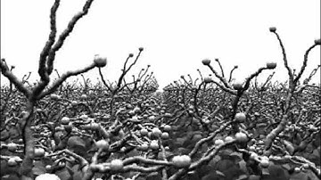 OpenCL Voxel Splatting (2.000.000.000 points/s!)