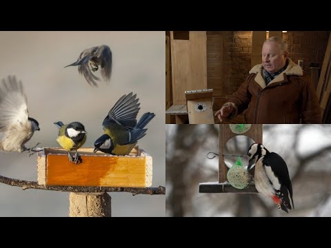 Video: Nė Vienas Augintinis Nepaliktas: Kaip Užtikrinti, Kad Mikroschemos Sugrąžintų Mūsų Augintinius Namo