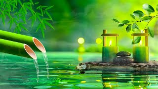 Relaxing Sleep Music Insomnia Stress Relief Relax Sleep Spa Meditation Music Heart Healing