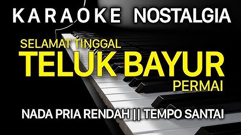 TELUK BAYUR Karaoke Nada Pria || Ernie Djohan