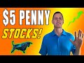 Top Penny Stocks