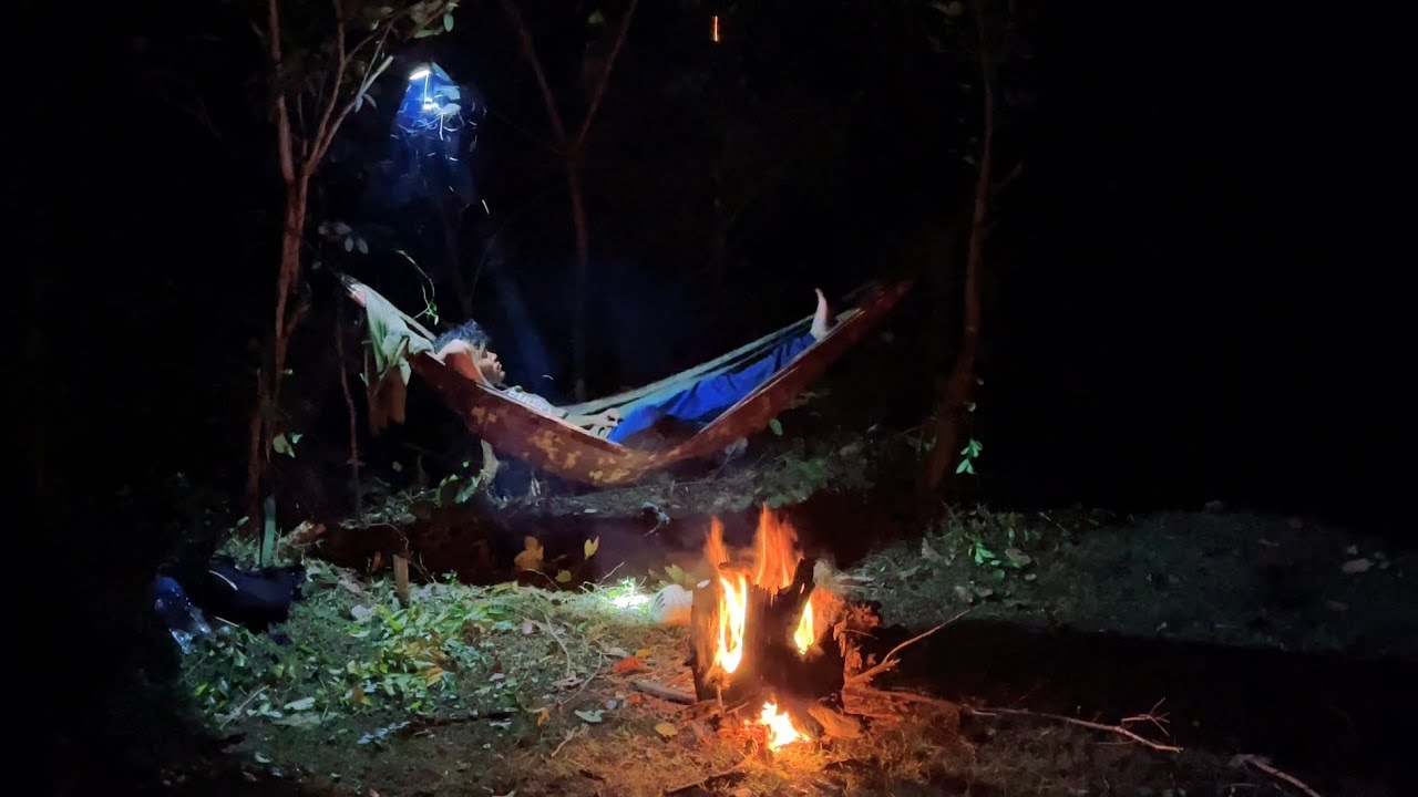 Solo Camping & Fishing In The Jungle | Relaxing With Music & Real Life 