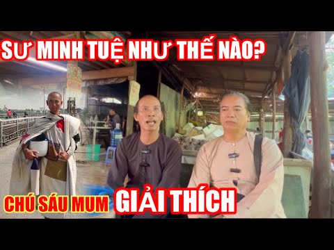 SƯ MINH TUỆ TU NHƯ THẾ NÀO?CHÚ SÁU MUM CHO BIẾT.