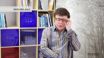 Sam Goldstein - Nesplora Technology & Behavior