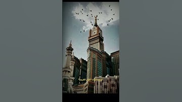 ويلٌ اكل أفاك أثيم-ياسر الدوسري تلاوة تهز القلوب الميته❤️