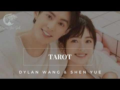 072820 - Dylan Wang and Shen Yue Update