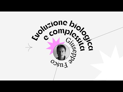 Video: Qual è la differenza tra selezione direzionale e selezione dirompente?