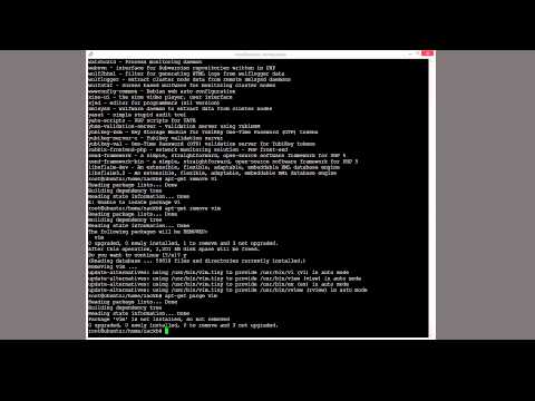 How to use apt-get and apt-cache on ubuntu server