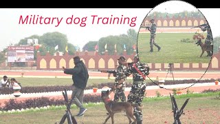 Military dog training / military dog video / army dog / army dog training #dog #dogtraining #dogs