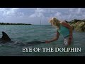THE TRUTH ABOUT ALYSSA'S MYSTERIOUS FATHER WILL LEAVE YOU SPEECHLESS. EYE OF THE DOLPHIN. DRAMA