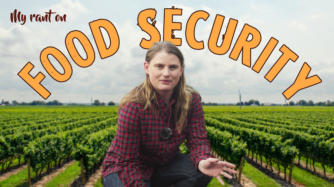 Food Is So Expensive! My Rant About A Broken System