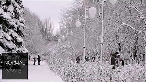 Snow - Motion Graphics