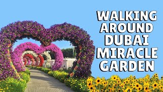How to Get to Dubai Miracle Garden by RTA Bus