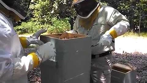 Warre Hive: Adding a hive box - 3 of 3