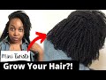 I’m growing my natural hair out! How to grow your hair with mini twists