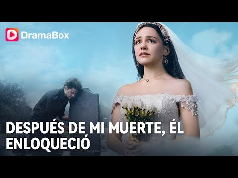 Cuando el odio dura más que el amor… ¿aún hay redención? 🔥| Dramabox