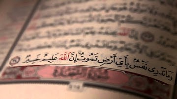 القارئ إدريس أبكر - سورة الفرقان (من الآية 43 )