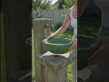 DIY Concrete Lotus Leaf Sink! 🌿💧#diy #lotusleaf #concretecrafts #outdoorsink #gardenproject