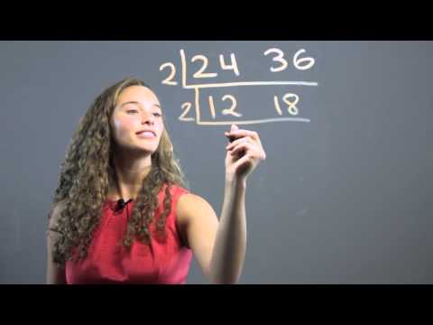 Teaching Kids LCM & GCF With the Ladder Method : Math Concepts