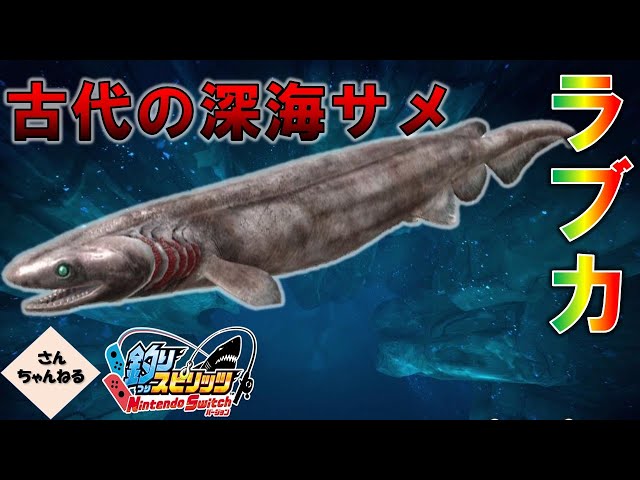 大激怒！古代のサメ 深海魚ラブカ登場！！ 釣りスピリッツ Nintendo