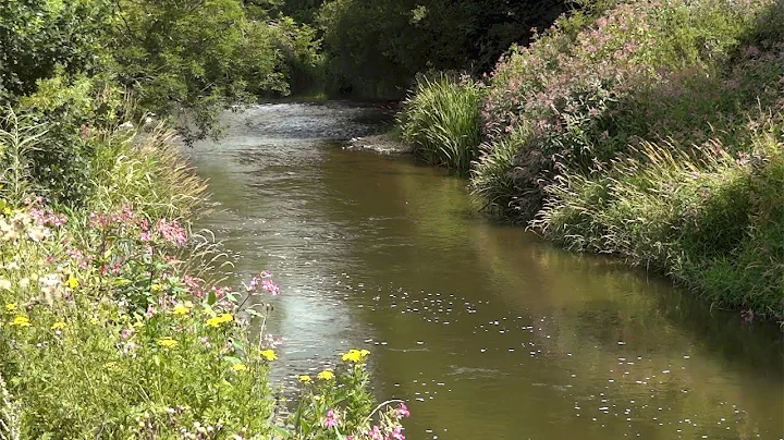 Greg Harper.  The River (Official Video) Nature at...