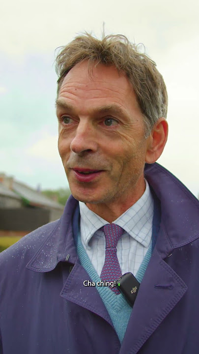 The £1,000 Horse Who Won Over £195,000 #horseracing #mrsdanvers