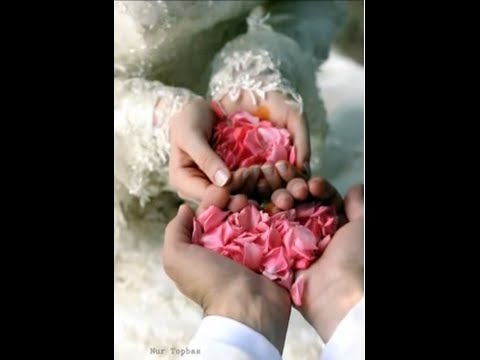 لو بتحبها ادخل وانتى لو بتحبيه ادخلى قصة رومانسية روعة 2014