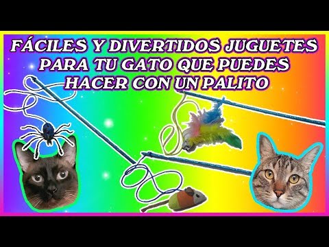 Video: Ideas Creativas Para Hangouts De Gatos