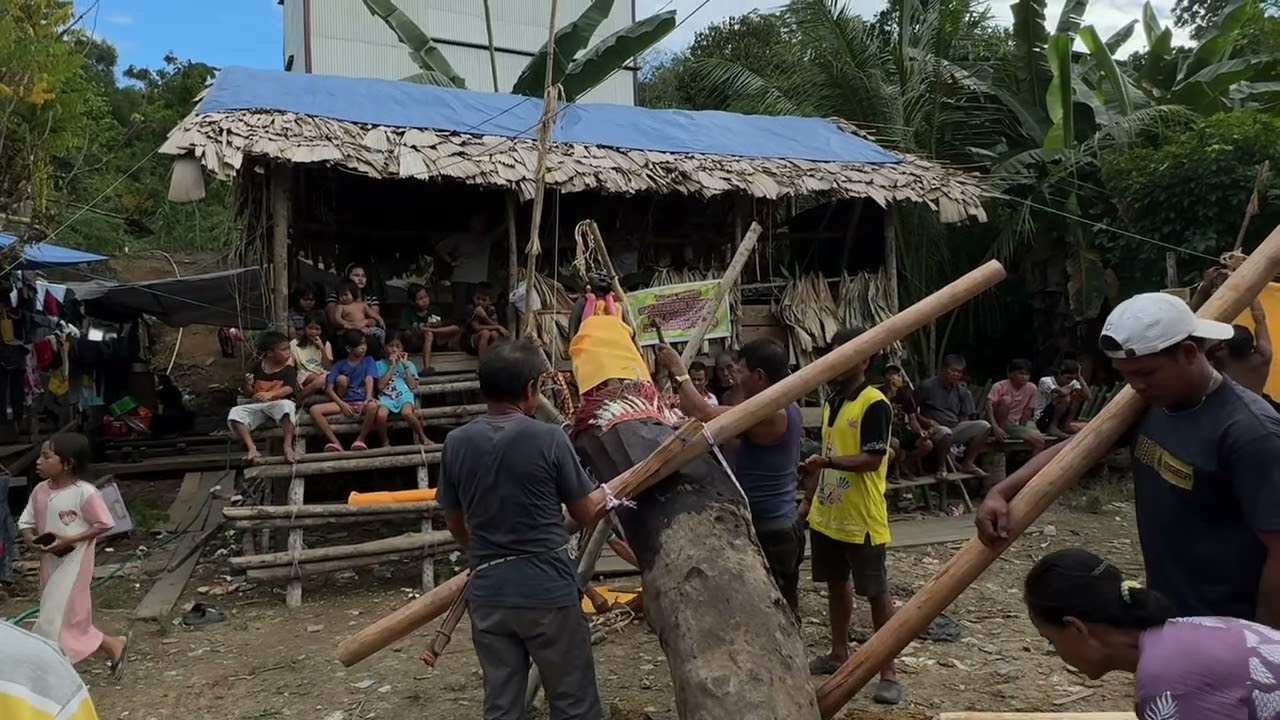 Pemugaran Sapundu 25 Oktober 2025 dan  26 Okteber 2025 Tabuh Pertama alm HANA Indu Timang