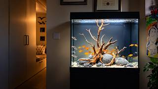 From Quarantine Tank to Display Aquarium