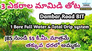 3 Acres Mango Garden For Sale | Dambar Road BIT |#agriculture #agriculturelands #mangogardenforsale