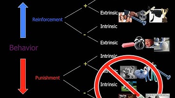 Intrinsic and Extrinsic Positive and Negative Reinforcement and Punishment