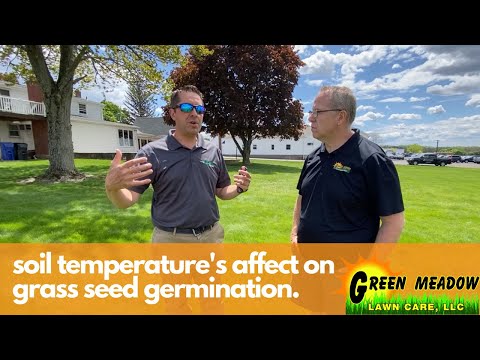 Video: Vai sasalšanas temperatūra kaitēs zāles sēklām?